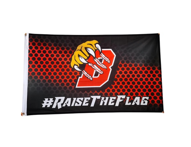 Professional Outdoor Banners